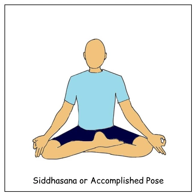 Siddhasana yoga pose hi-res stock photography and images - Alamy