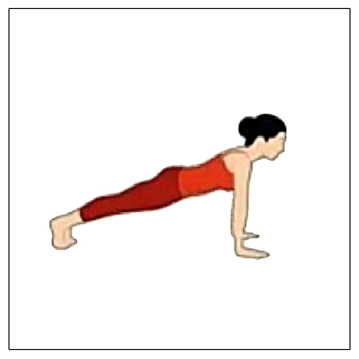 Sun Salutation Step 5- Plank Pose
