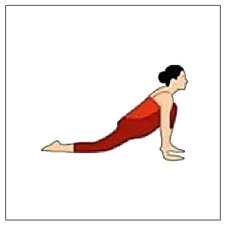 Ashwa Sanchalanasana (Equestrian Pose) meaning, steps, benefits and  precautions : r/YogaTeachers