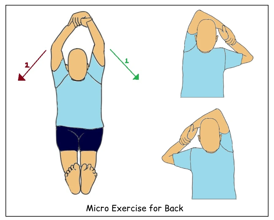 Exercise for Back