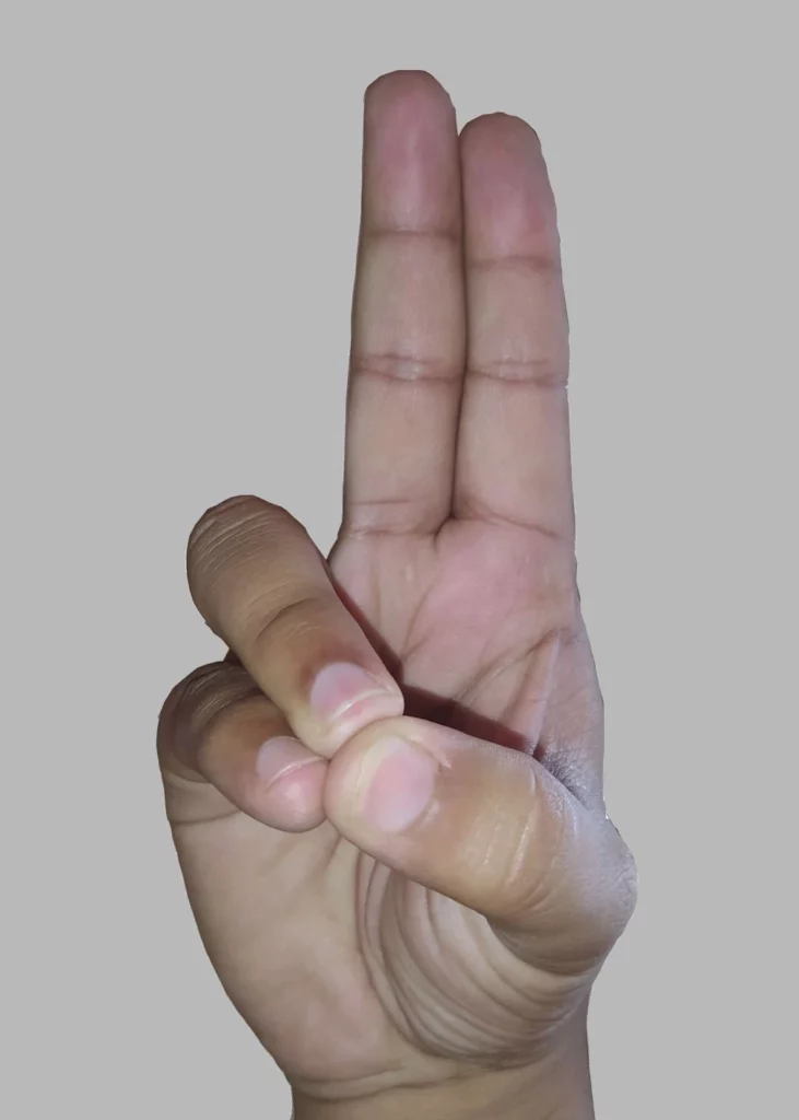 Praana mudra