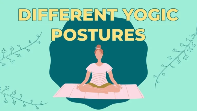Sitting Yoga Postures