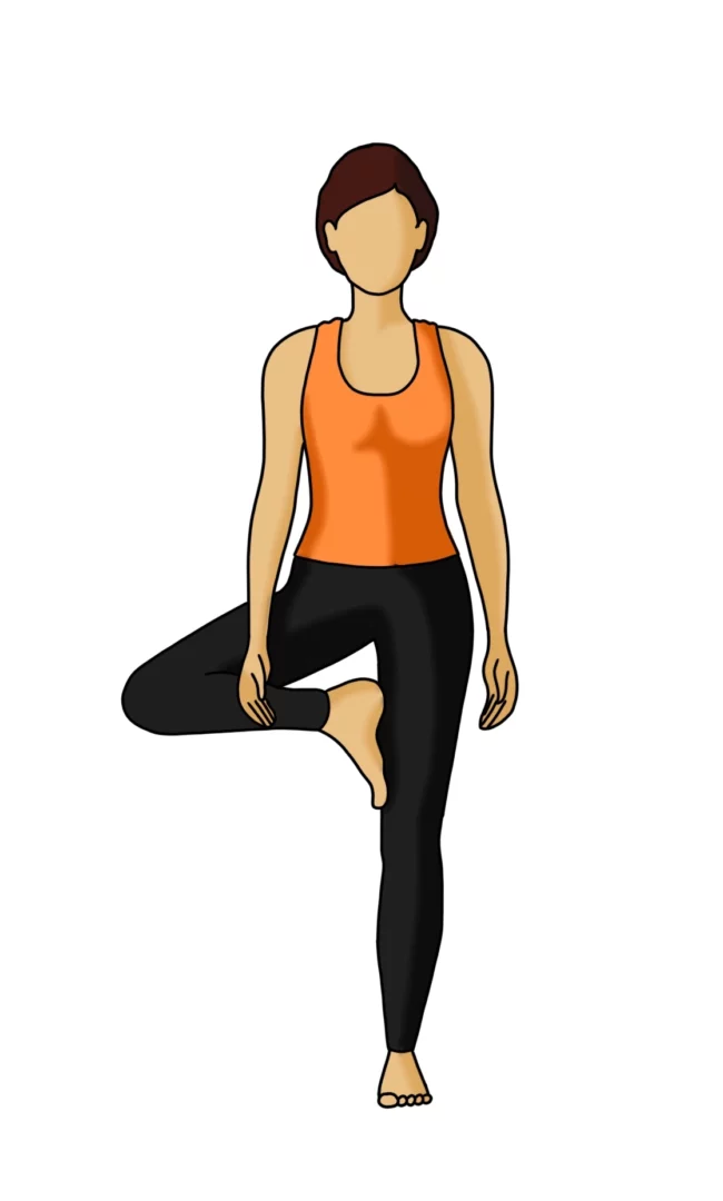 Tree Pose in Yoga Step 2