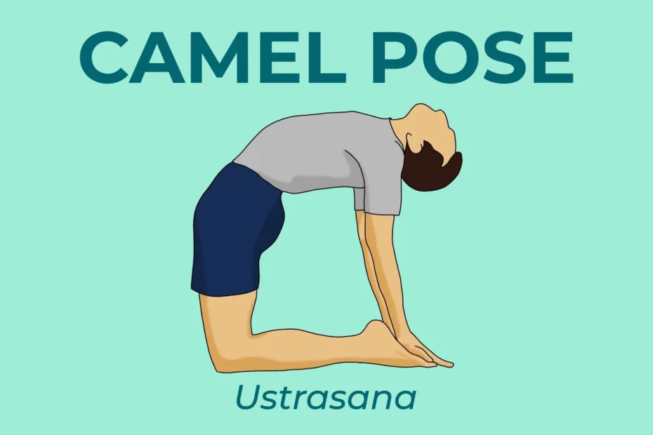 Camel Pose in Yoga (Ustrasana)