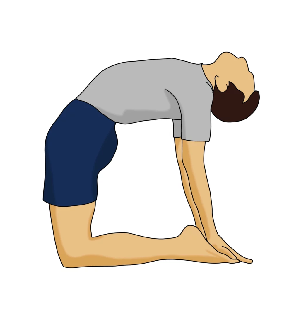 Camel Pose in Yoga: Ustrasana II